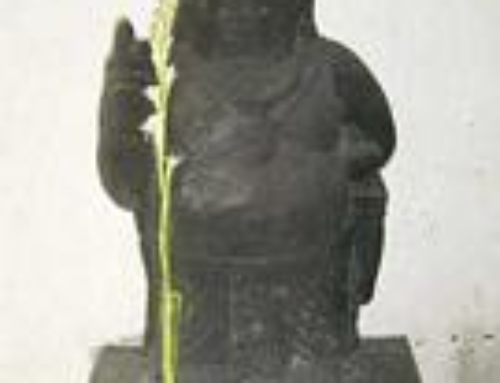 Laya Bindu Yoga